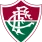 FLUMINENSE