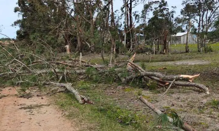 FORÇA DO VENTO PROVOCA DESTRUIÇÃO E DEIXA RASTRO DE ESTRAGOS NA LOCALIDADE DA VÁRZEA
